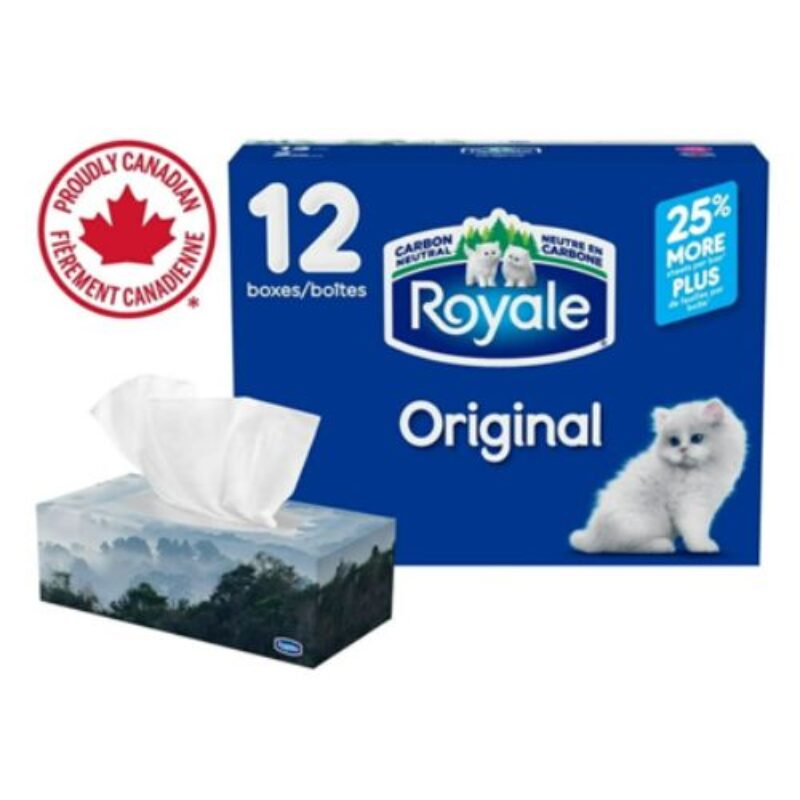 MOUCHOIRS POUR LE VISAGE ROYALE 2PLY 126CNT PAQUET DE 12 PIÈCES 3P/C